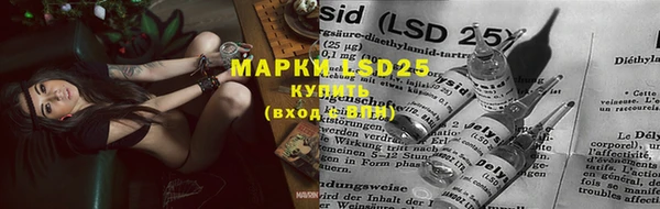 COCAINE Майский
