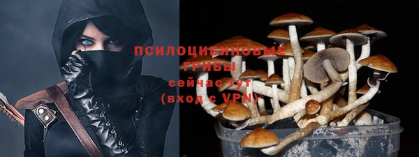ГАЛЛЮЦИНОГЕННЫЕ ГРИБЫ Домодедово