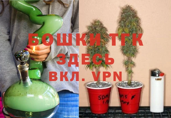 мяу мяу мука Магас