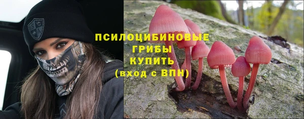 мяу мяу мука Магас