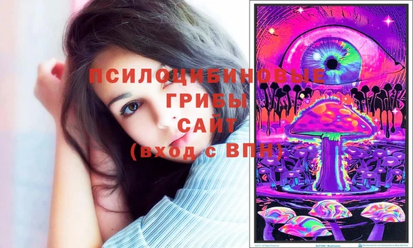 мяу мяу мука Магас