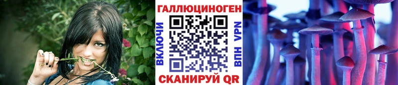купить наркоту  Цивильск  Галлюциногенные грибы ЛСД 